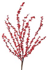 WP ILEX BERRY STEM 40"