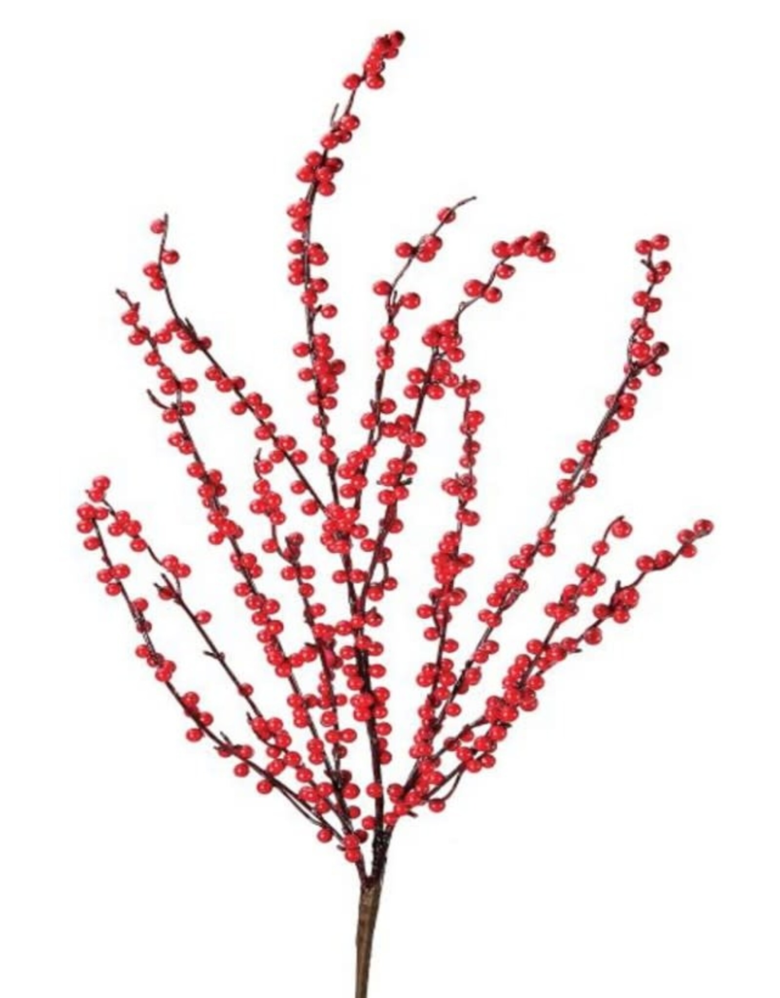 WP ILEX BERRY STEM 40"