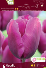 Assorted Tulip Bulbs