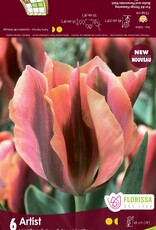 Assorted Tulip Bulbs