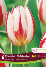 Assorted Tulip Bulbs