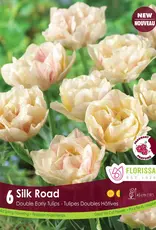 Assorted Tulip Bulbs