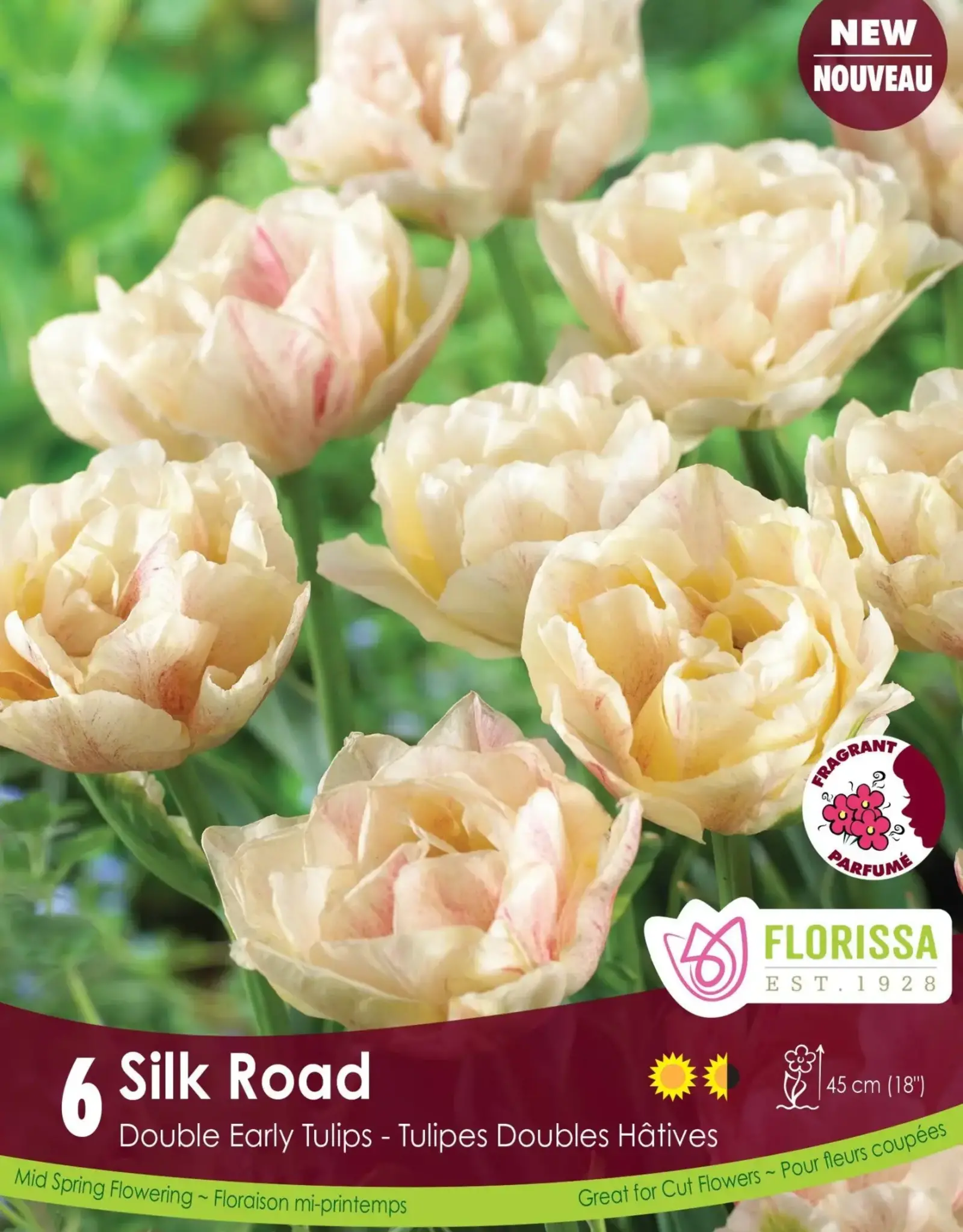 Assorted Tulip Bulbs