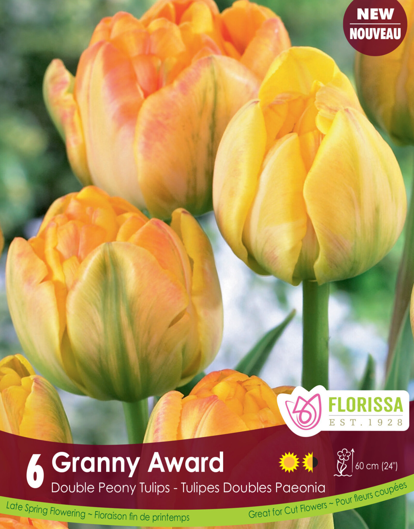 Assorted Tulip Bulbs