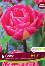Assorted Tulip Bulbs