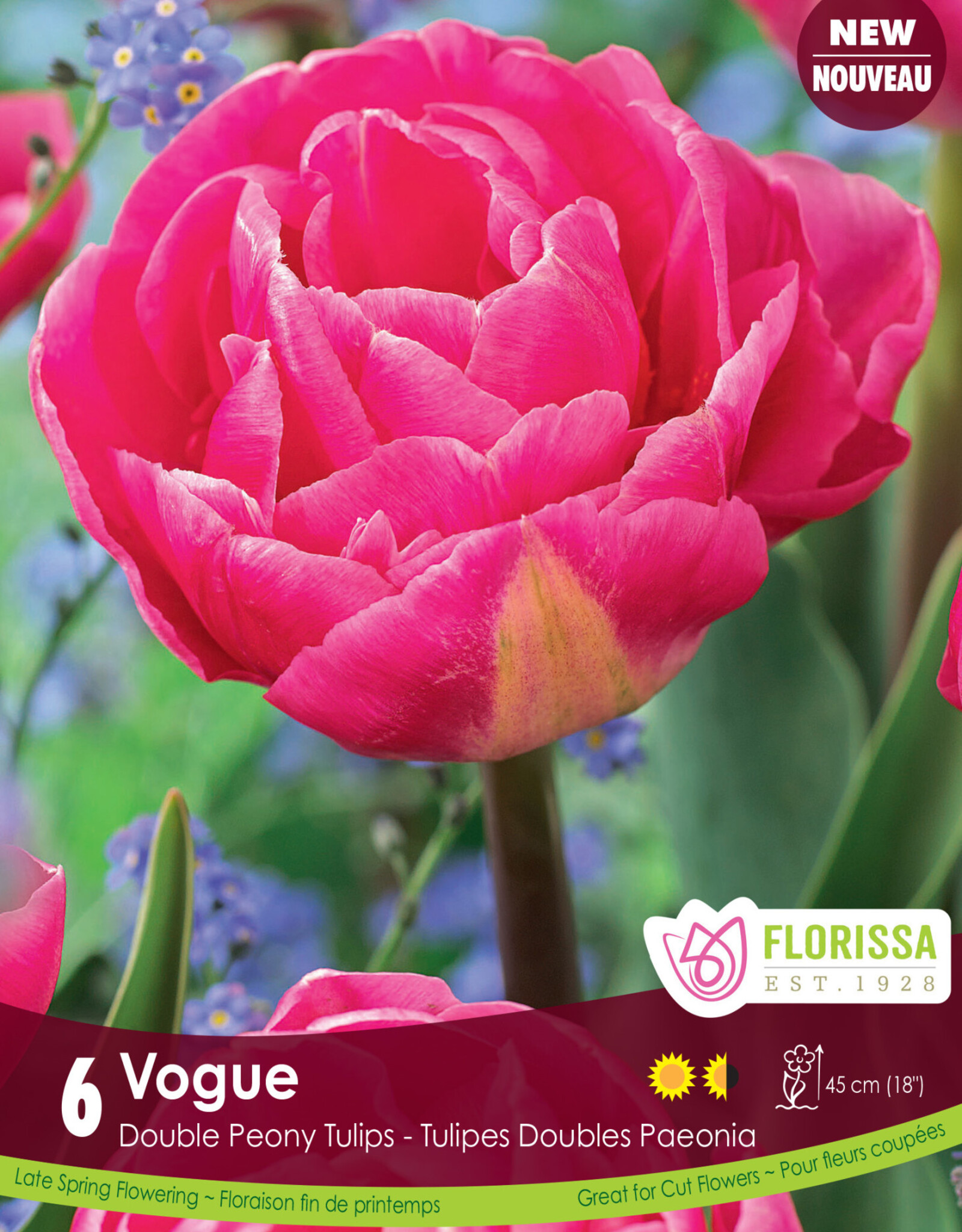 Assorted Tulip Bulbs