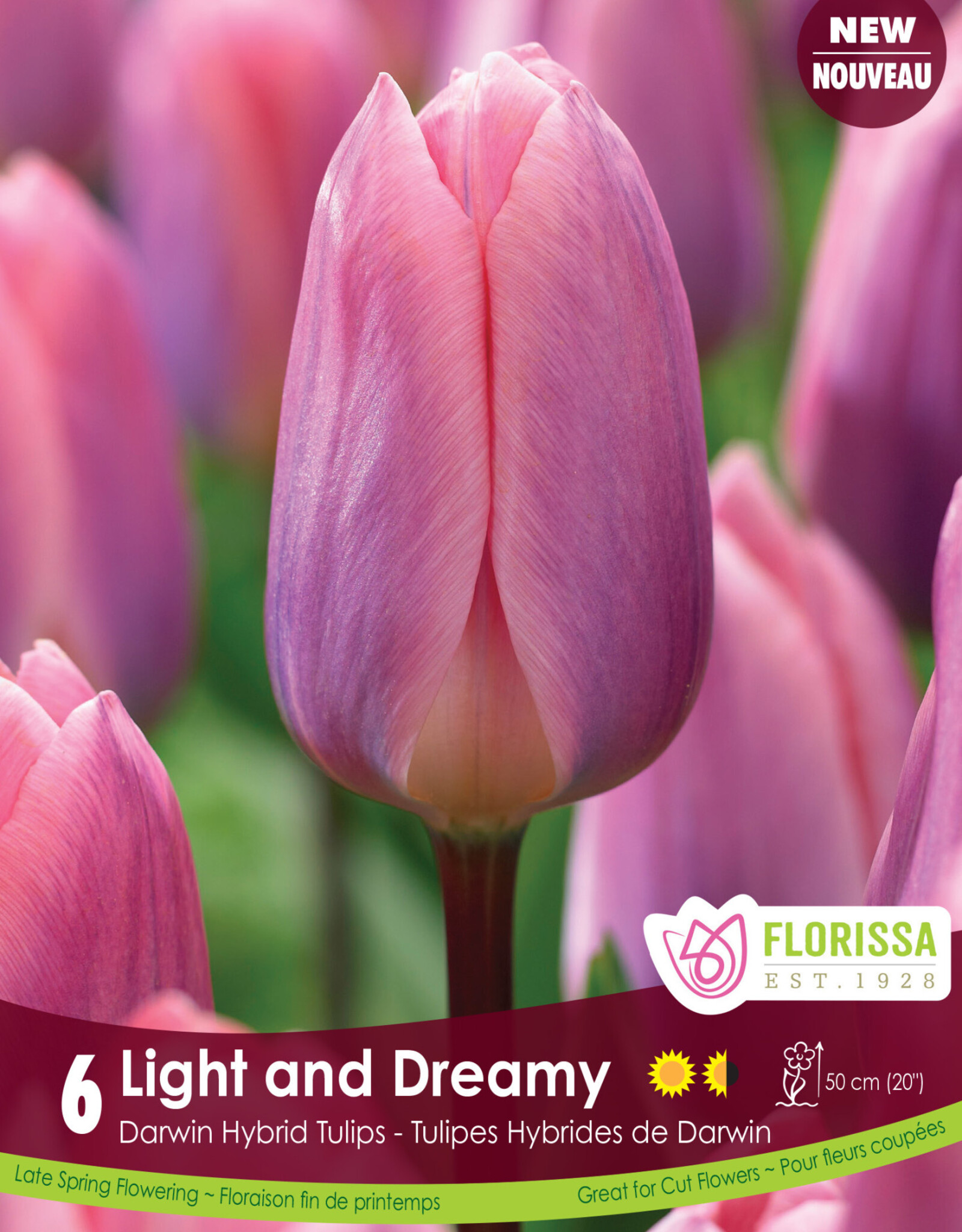 Assorted Tulip Bulbs