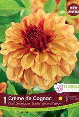 Dahlia Dec. Creme de Cognac - Package of 1