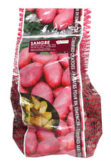 Potato Sangre 2kg