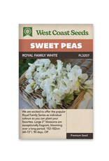 Sweet Peas - Royal Family White