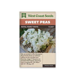 Sweet Peas - Royal Family White