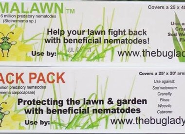 Beneficial Bugs