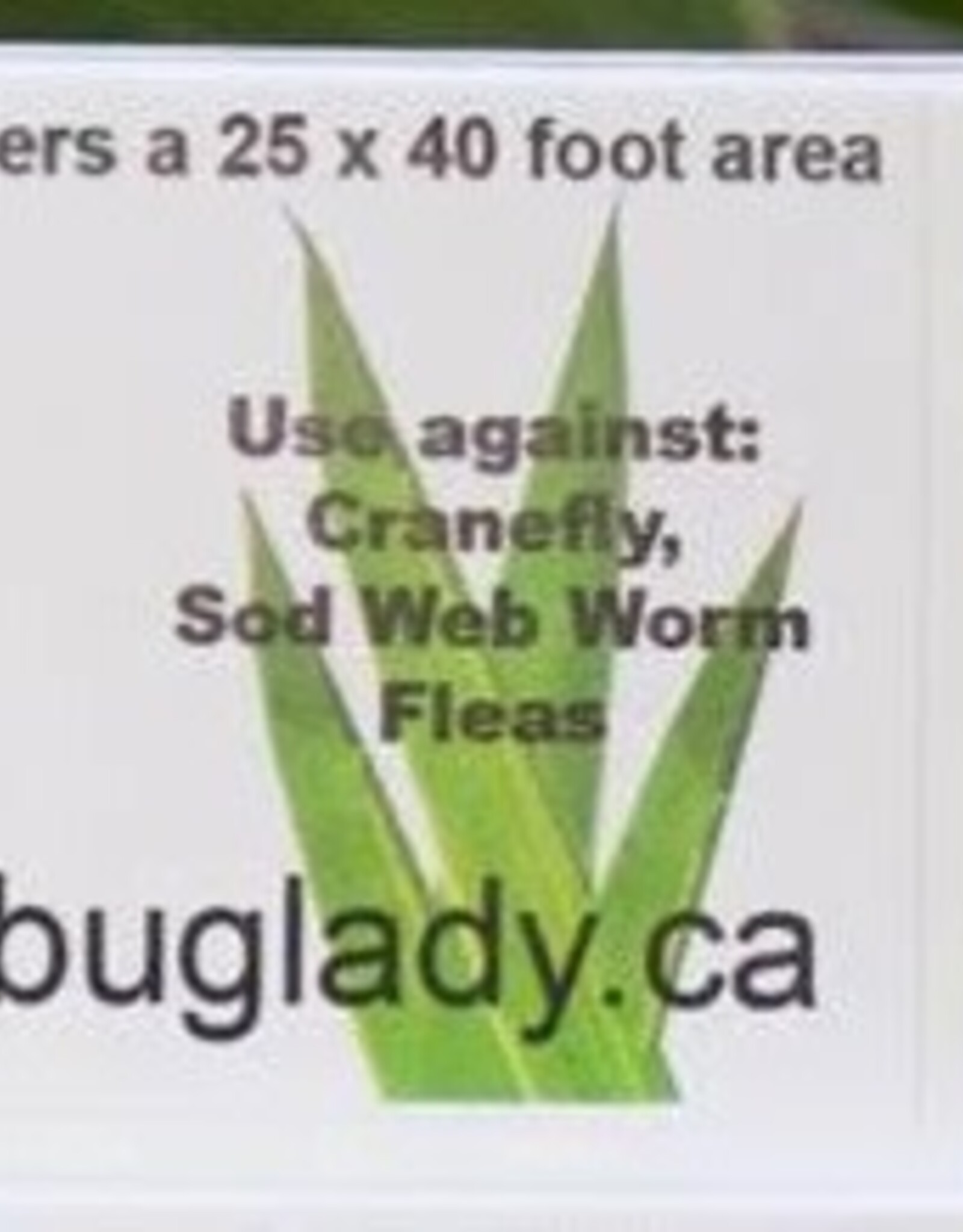 NEMALAWN - Nematodes for your lawn!