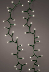 LED compact lights - White 74 ft