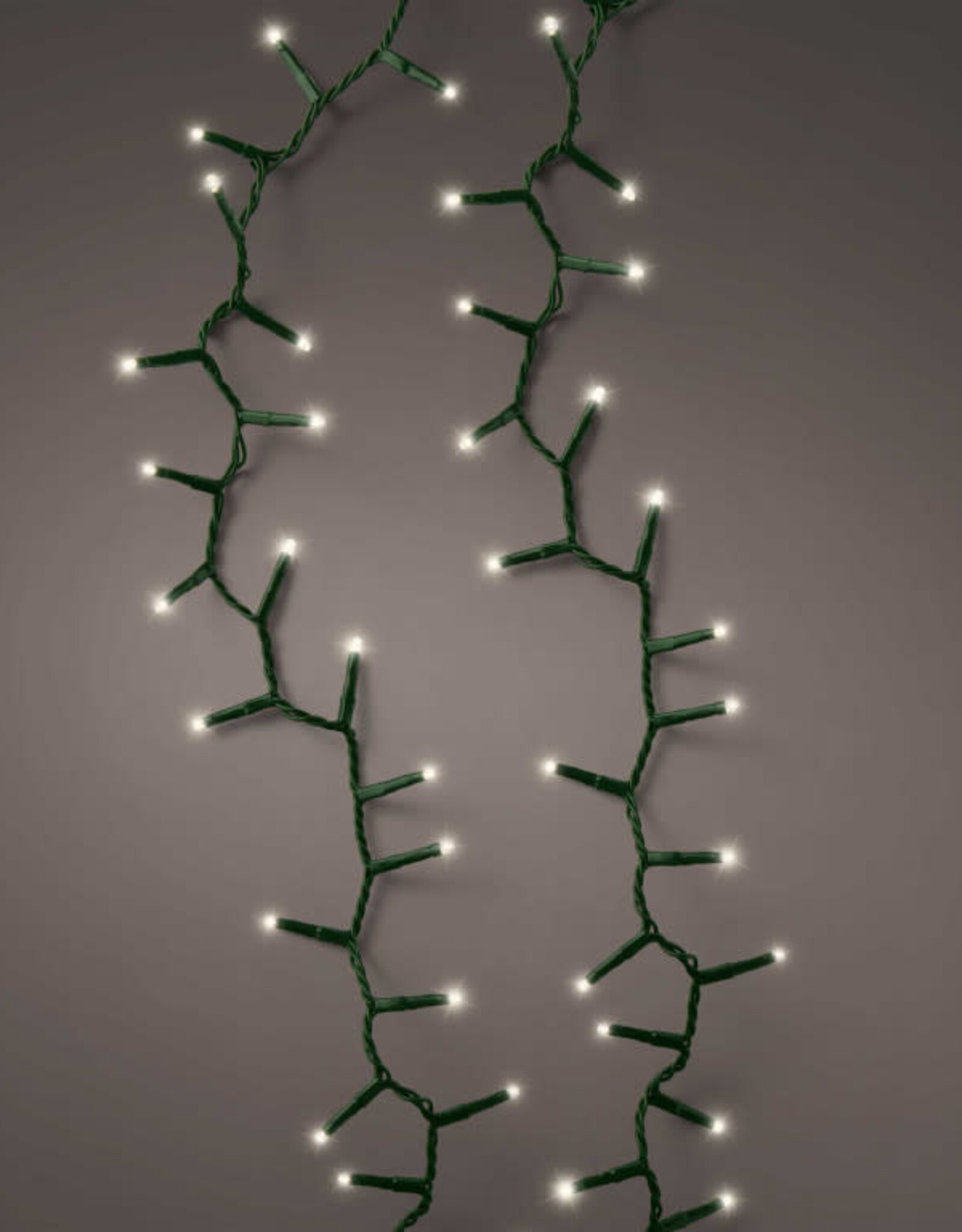 LED compact lights - White 74 ft