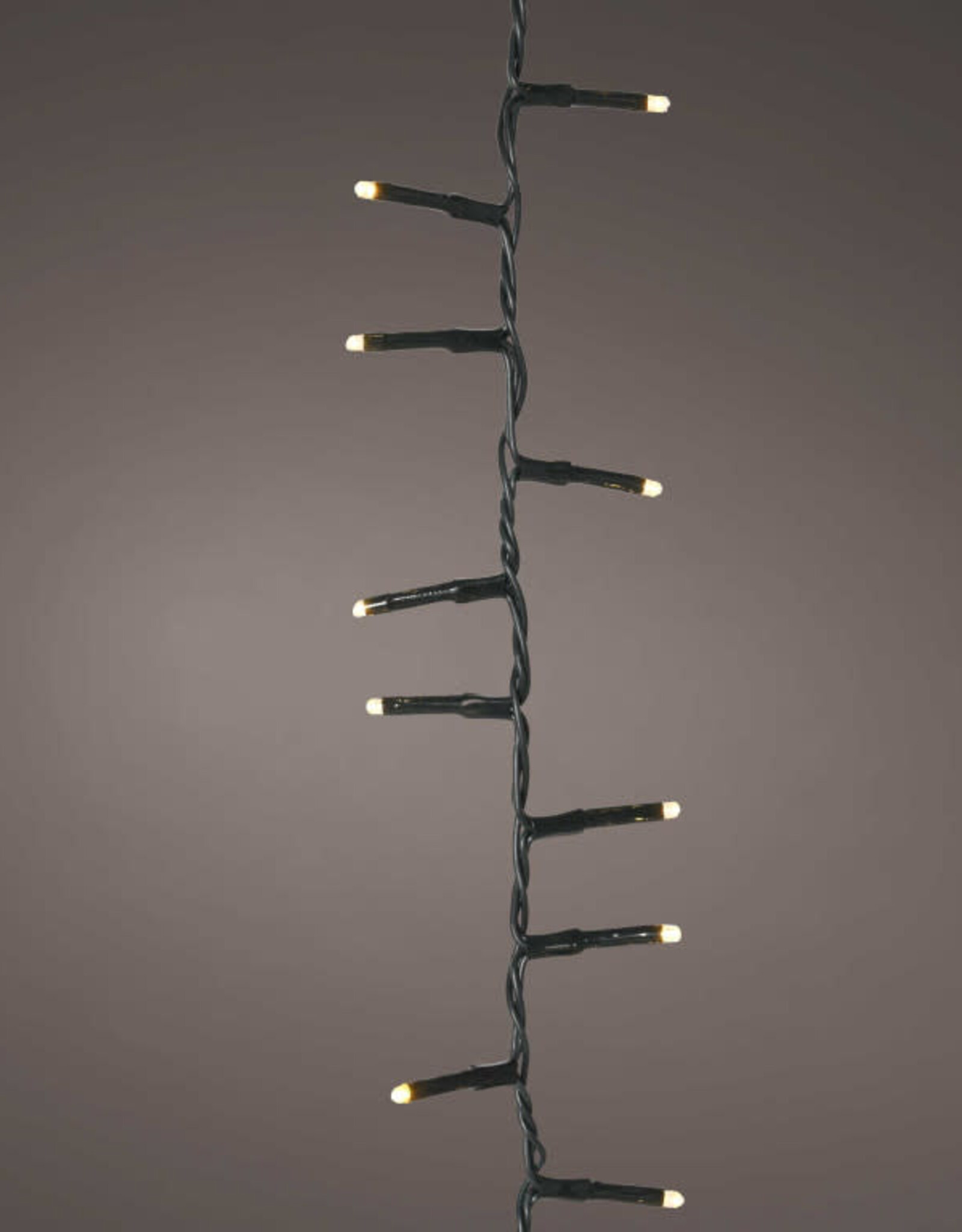 LED compact lights -Champagne 36ft