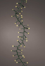 LED compact lights -Champagne 50ft
