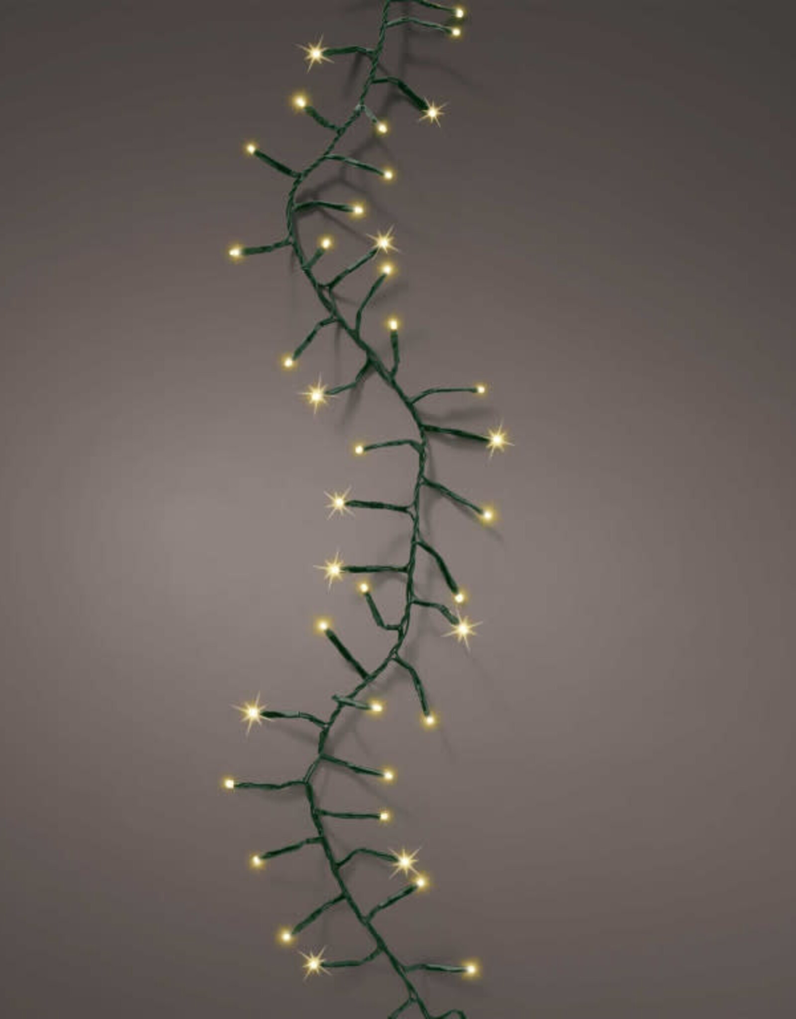 LED compact lights -Champagne 50ft