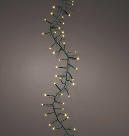 LED compact lights -Champagne 50ft