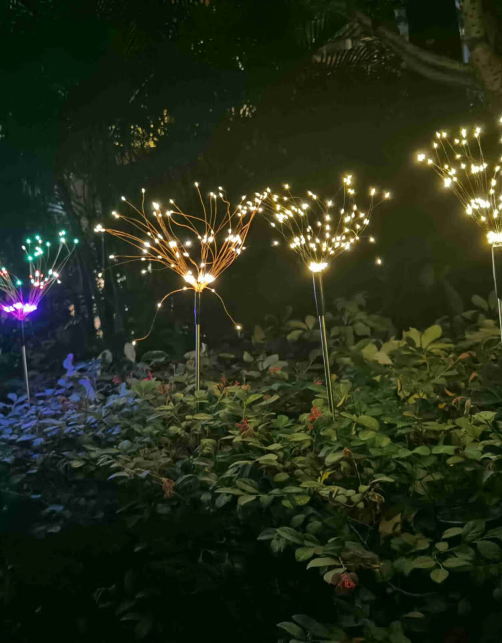 Fireworks Solar led Light
