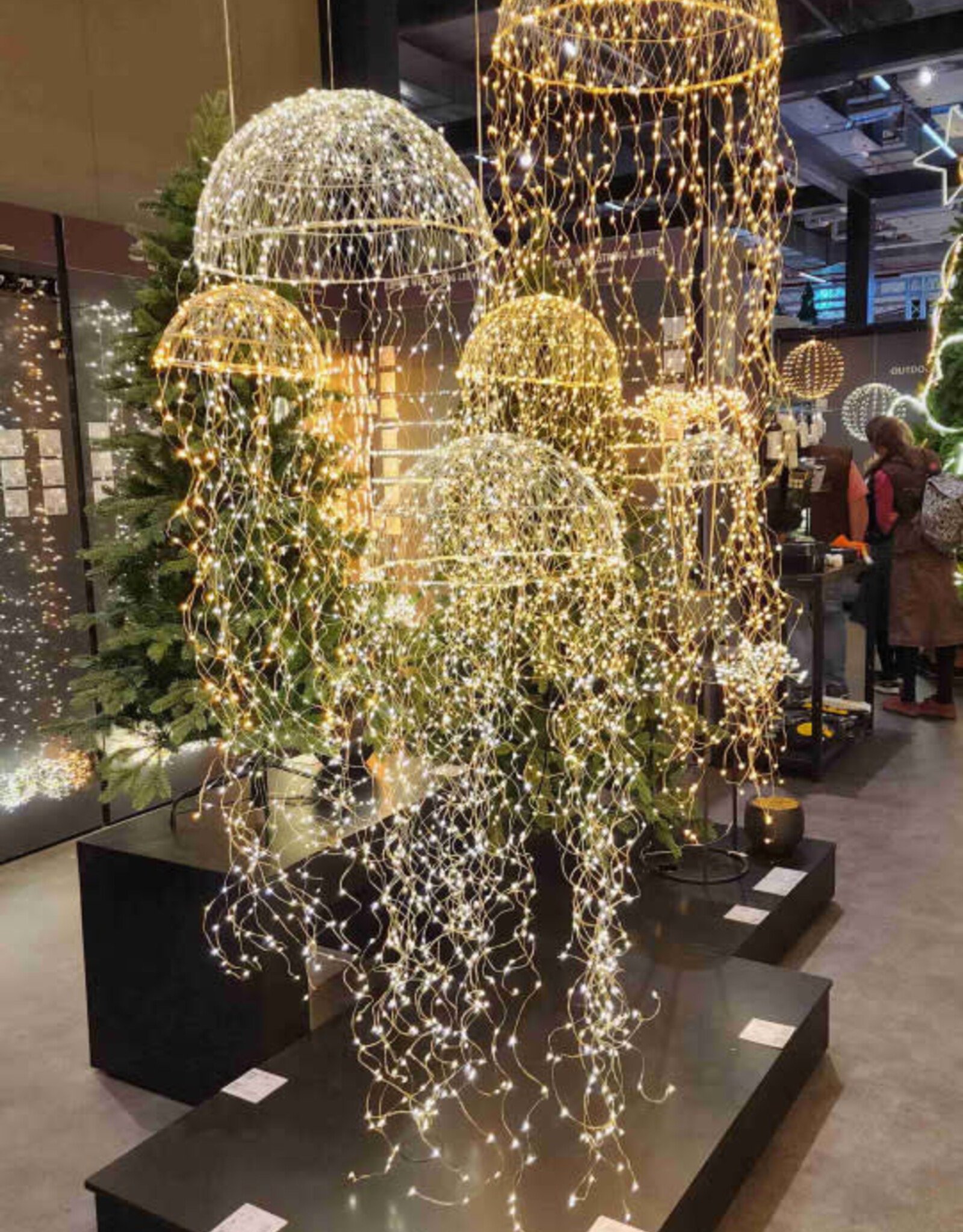 Jellyfish String Light led 8inch