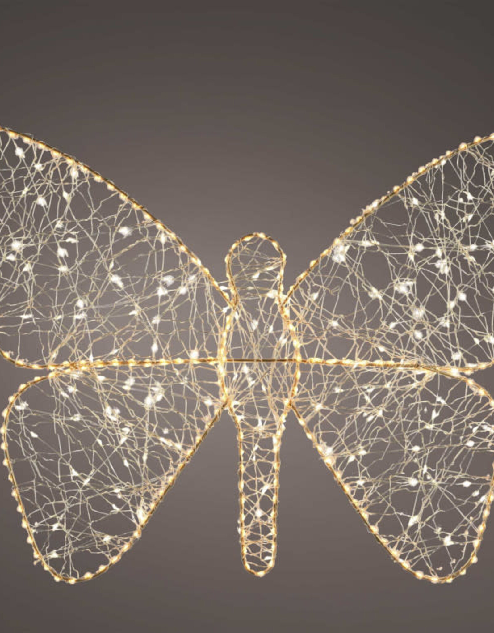Butterfly Small Indoor/Outsdoor