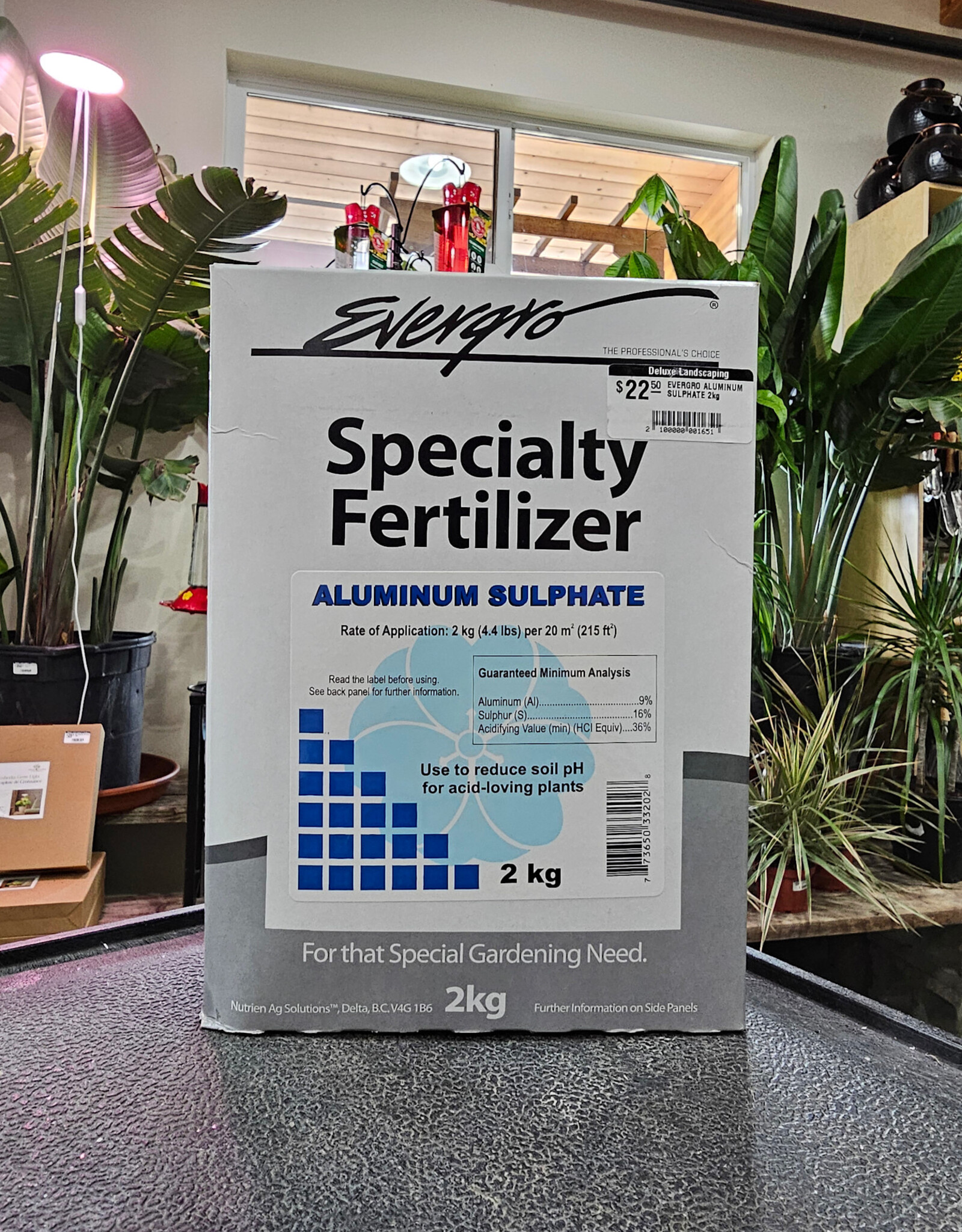 EVERGRO ALUMINUM SULPHATE 2kg