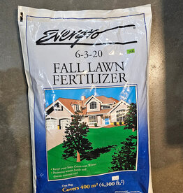 Evergro Fall Lawn Fertilizer 6-3-20 10 kg