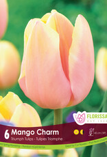 Tulip - Per Bulb - Mango Charm