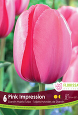 Tulip - Per Bulb - Pink Impression