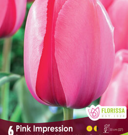 Tulip - Per Bulb - Pink Impression