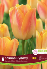 Tulip - Per Bulb - Salmon Prince