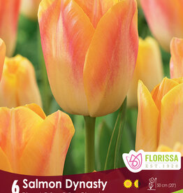 Tulip - Per Bulb - Salmon Prince