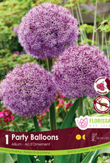 Allium - Per Bulb- Party Balloons