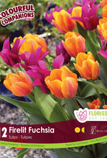 Assorted Mixed Bulb Packages