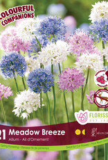 Assorted Mixed Bulb Packages