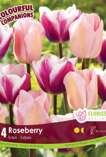 Assorted Mixed Bulb Packages