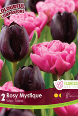 Assorted Mixed Bulb Packages