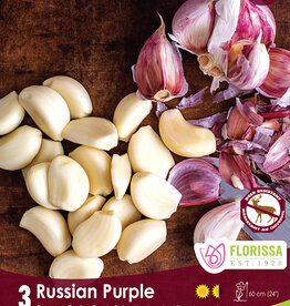 Garlic - Hardneck - Per Bulb - Russian Purple