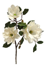 TRIPLE MAGNOLIA BLOOM SPRAY 19"
