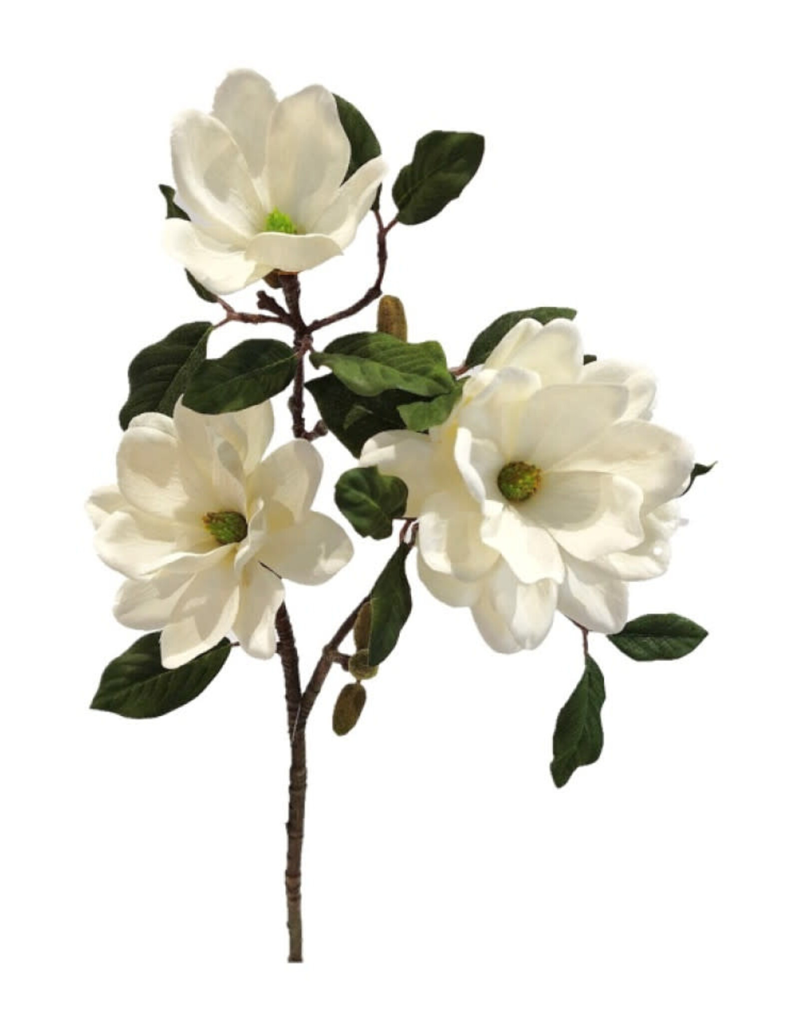 TRIPLE MAGNOLIA BLOOM SPRAY 19"