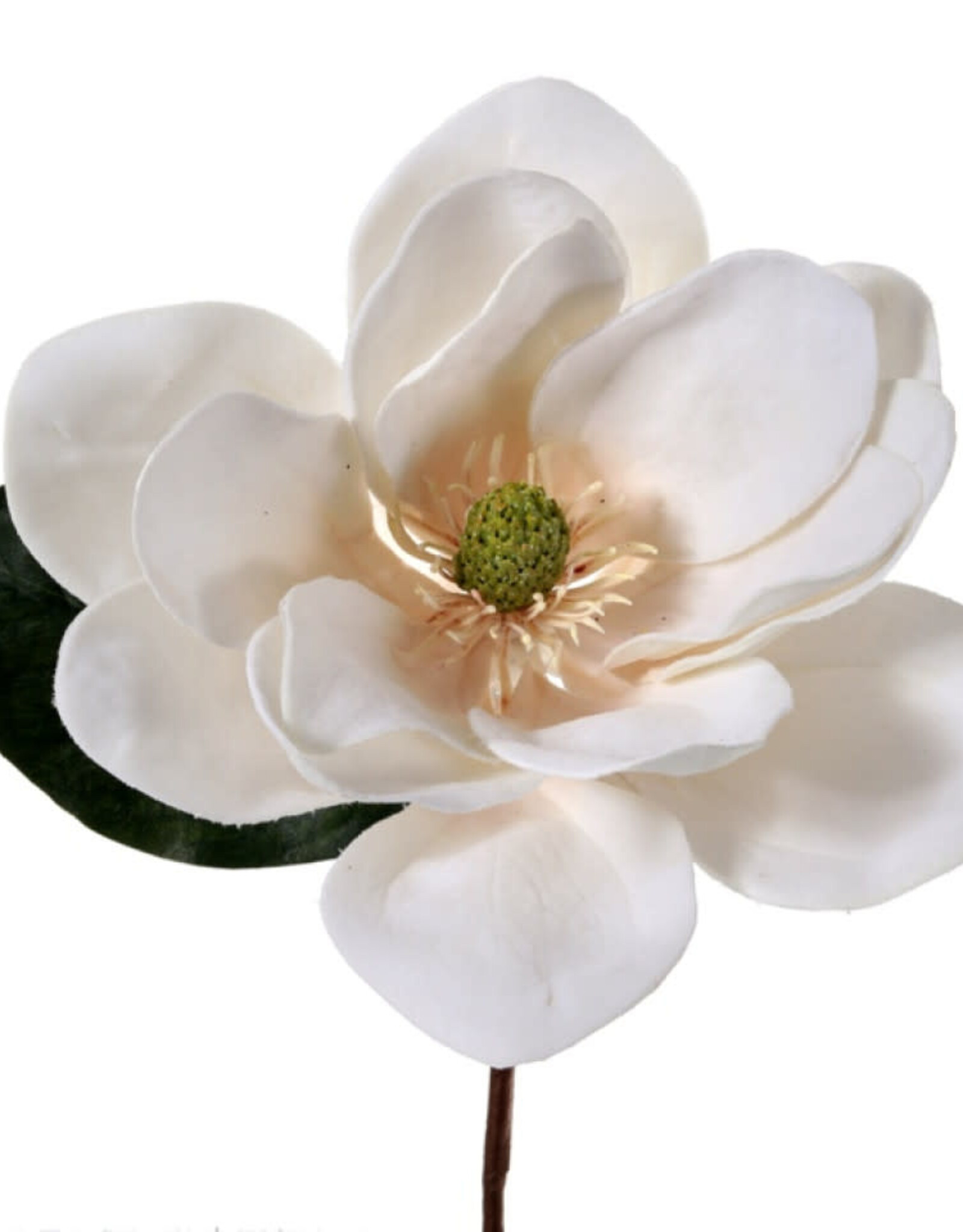 12" DELUXE LARGE VELVET MAGNOLIA PICK