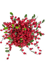 12" WP NATURAL BERRY RIDGE KISSING BALL