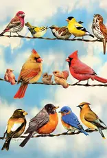 Blue Sky Birds - Tray Puzzle 35 pc