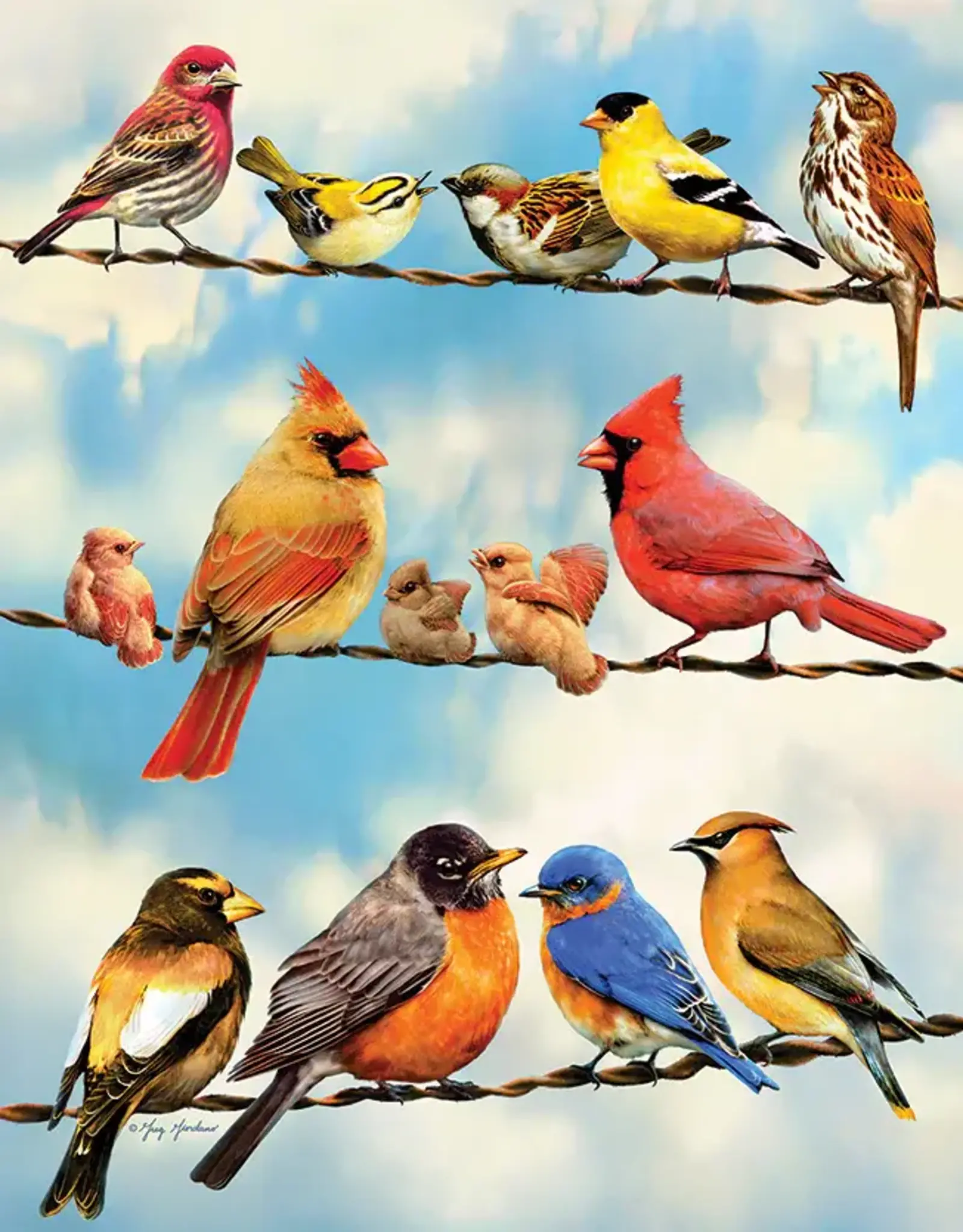 Blue Sky Birds - Tray Puzzle 35 pc