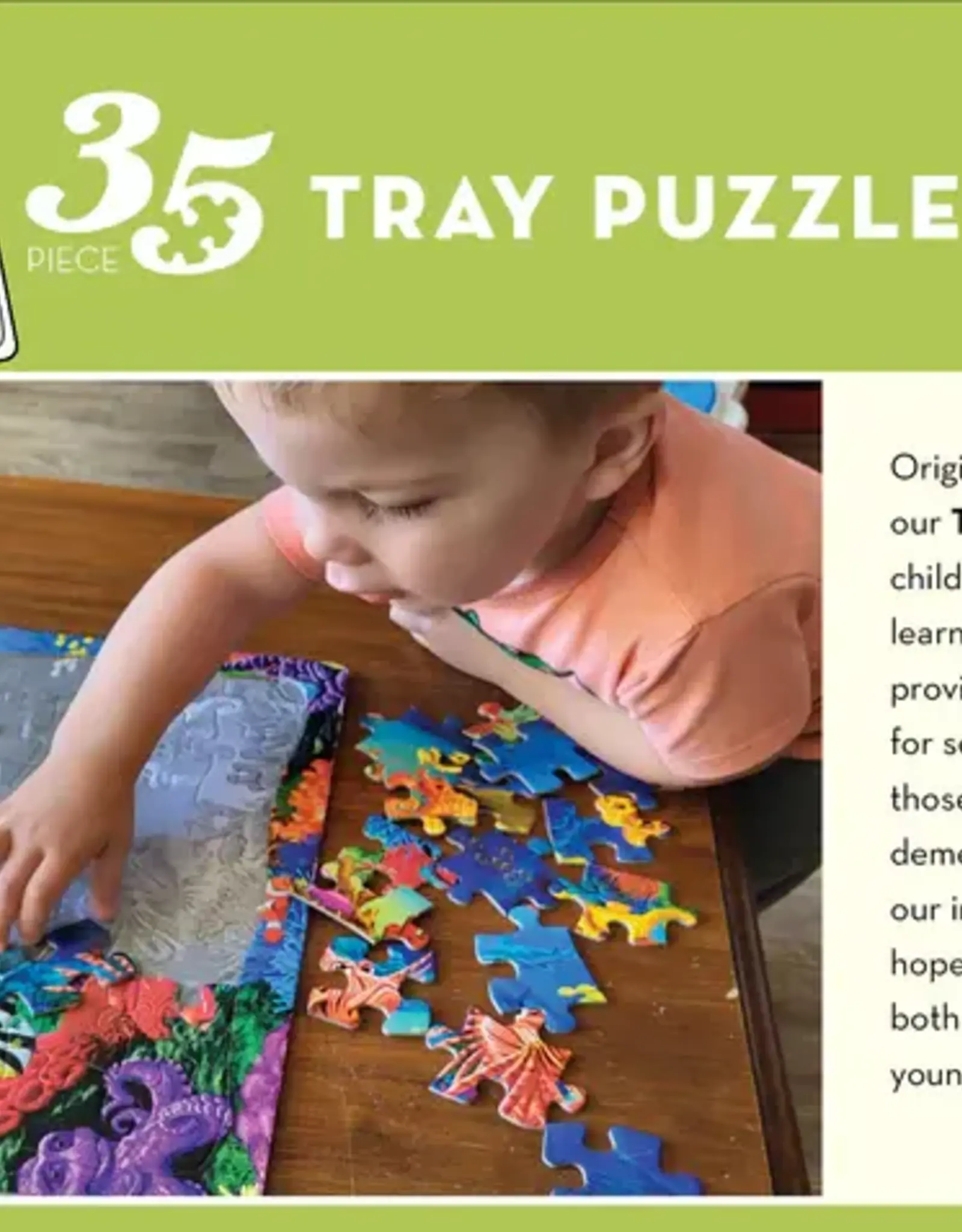 Blue Sky Birds - Tray Puzzle 35 pc