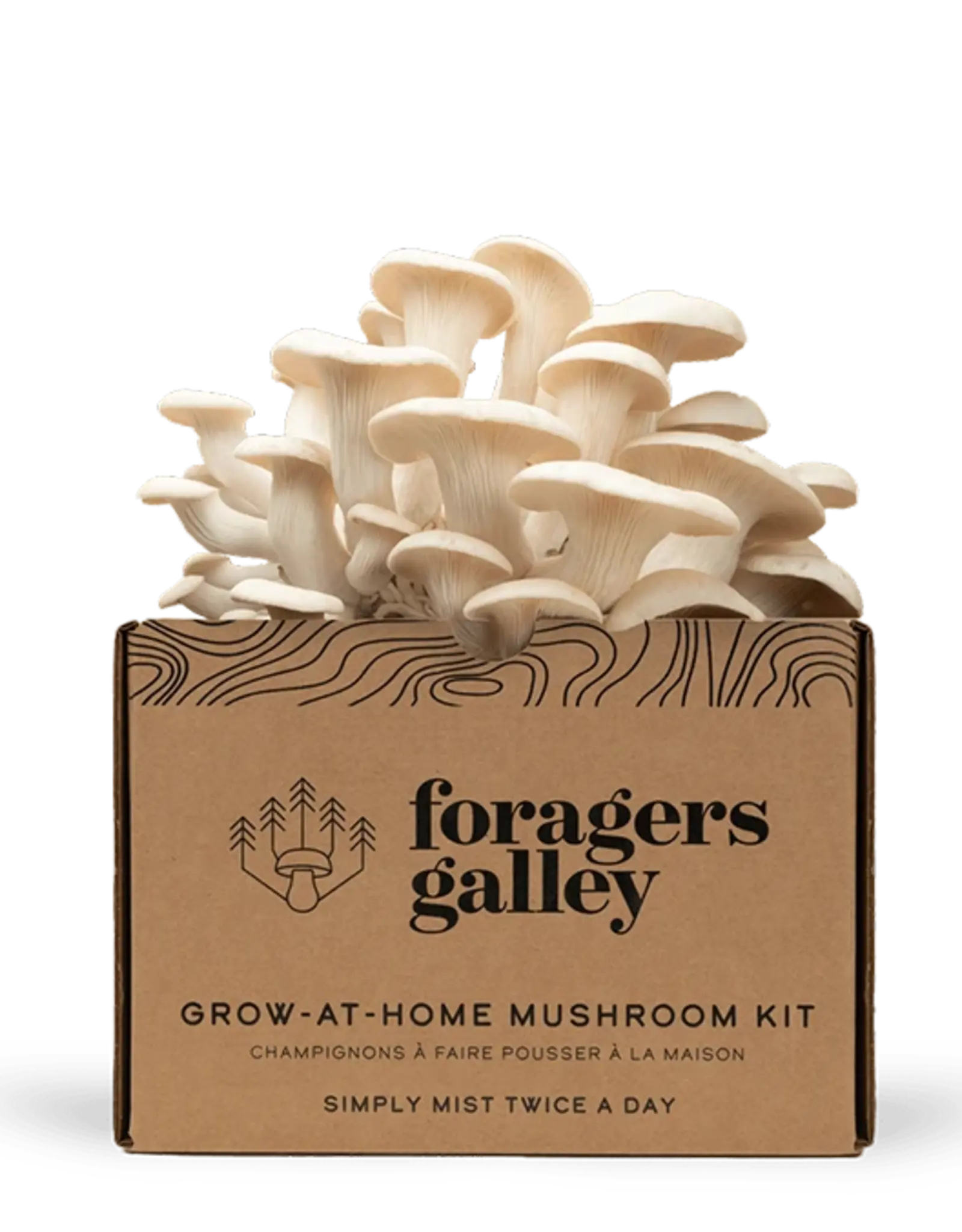 Mushroom Growing- Snow Oyster Grow Kit