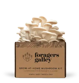 Mushroom Growing- Snow Oyster Grow Kit