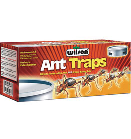Wilson AntOut Traps 12 pack