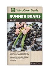 Runner Beans - Sunset